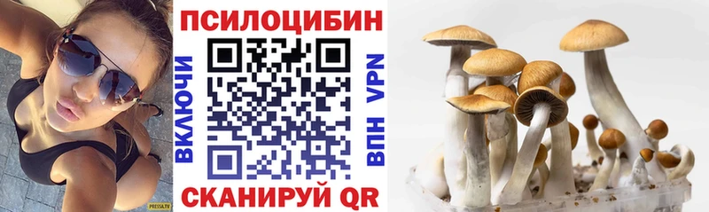 darknet какой сайт  KRAKEN как войти  Лесосибирск  Псилоцибиновые грибы прущие грибы 