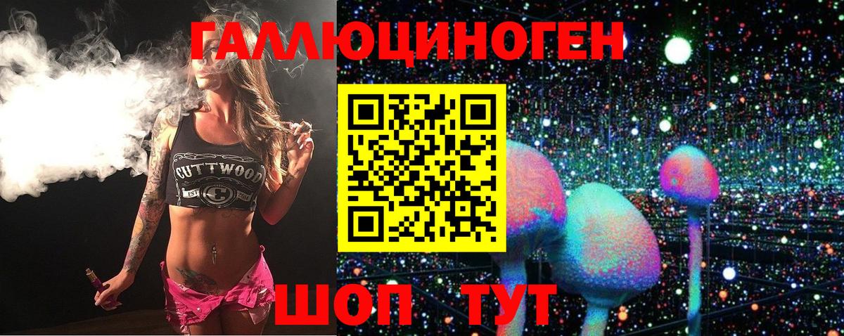 Псилоцибиновые грибы Psilocybe  Вход с VPN  Лесосибирск 