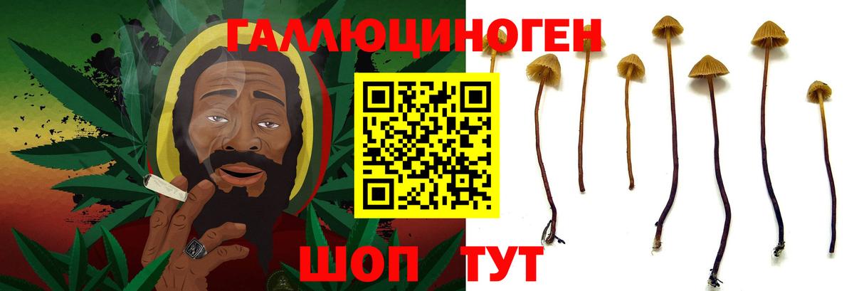Галлюциногенные грибы ЛСД Лесосибирск